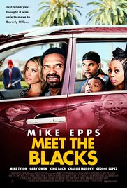 Meet the Blacks (2016)